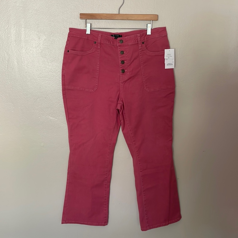 NWT Daily Thread Jolie Clay Wash Jean. Size 18W